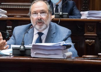 Gandini: “Si hay un ministro que hace las cosas bien es Salinas”