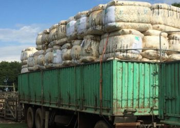 En la tercera suba semanal, la lana superó los diez dólares