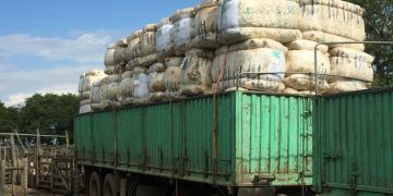 En la tercera suba semanal, la lana superó los diez dólares