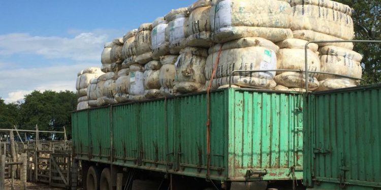 En la tercera suba semanal, la lana superó los diez dólares