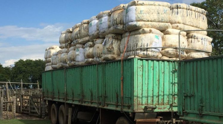 En la tercera suba semanal, la lana superó los diez dólares