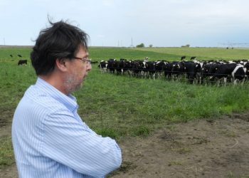 Producir leche debe ser un negocio atractivo y de viabilidad económica