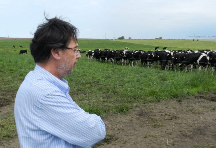 Producir leche debe ser un negocio atractivo y de viabilidad económica