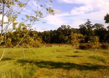 Esta semana el otoño continúa con tiempo atmosférico relativamente apacible