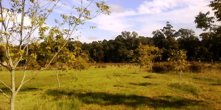 Esta semana el otoño continúa con tiempo atmosférico relativamente apacible