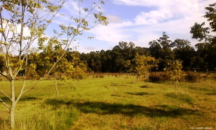 Esta semana el otoño continúa con tiempo atmosférico relativamente apacible