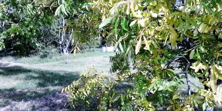 Semana sin lluvias con frío otoñal hasta la mañana del jueves