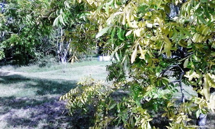 Semana sin lluvias con frío otoñal hasta la mañana del jueves