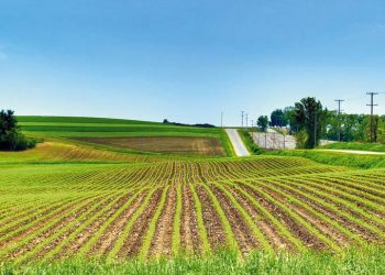 La comercialización de tierra agrícola en 2020 fue de US$ 505,4 millones