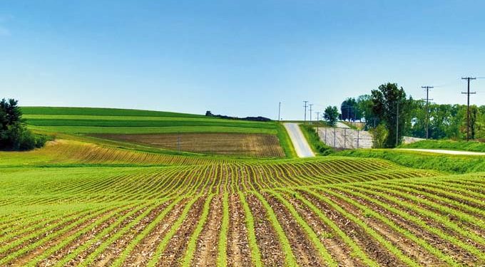 La comercialización de tierra agrícola en 2020 fue de US$ 505,4 millones