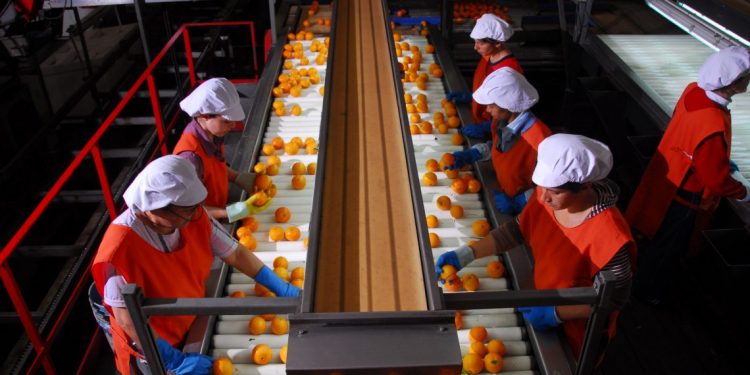 Colaboración de trabajadores, empresa y Estado encamina el citrus en la dirección correcta