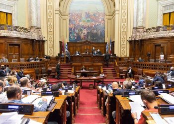 Ingresó a Diputados el proyecto de trabajo solidario en todo el país