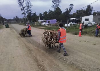Jornales solidarios:  US$ 25 millones para generar empleo a 15.000 uruguayos