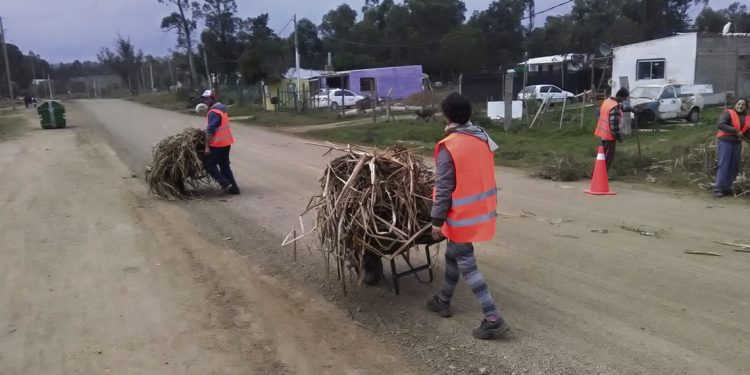 Jornales solidarios: US$ 25 millones para generar empleo a 15.000 uruguayos