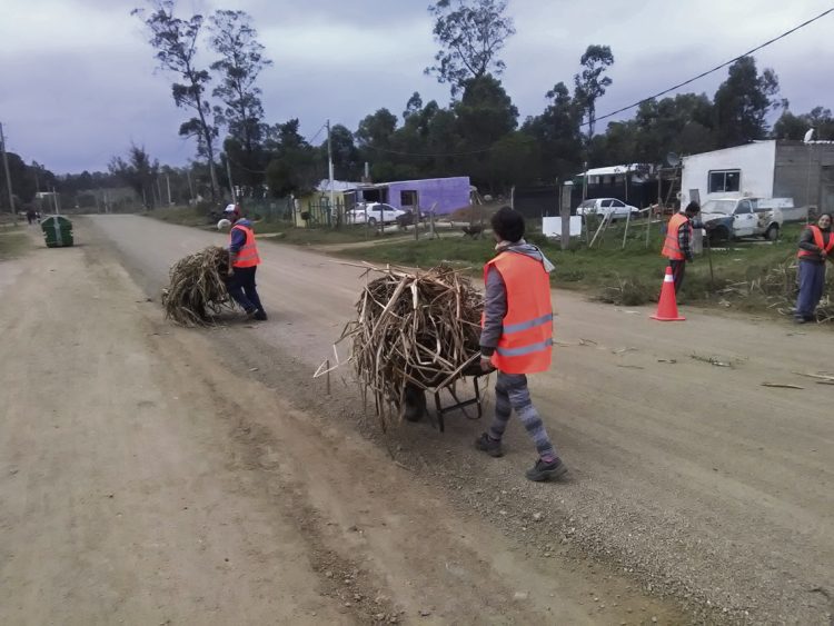 Jornales solidarios:  US$ 25 millones para generar empleo a 15.000 uruguayos