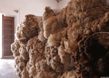 Marzo cerró con la lana valiendo US$ 51 centavos menos que al cierre de febrero