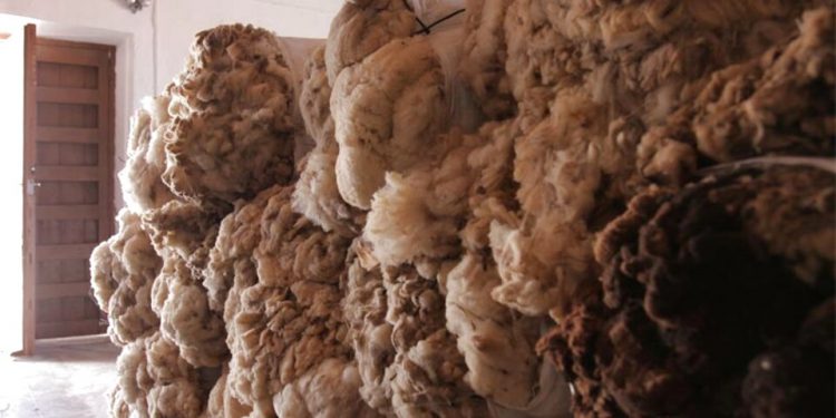 Marzo cerró con la lana valiendo US$ 51 centavos menos que al cierre de febrero