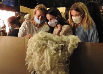 El precio internacional de la lana se afirma y sube a US$ 10,45