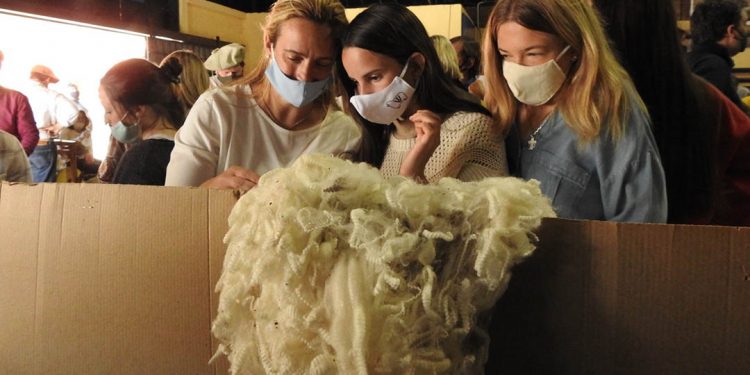 El precio internacional de la lana se afirma y sube a US$ 10,45