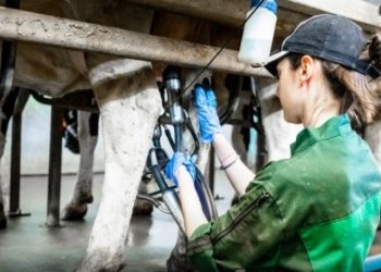 La vivencia de una tambera dispuesta a defender al sector lechero