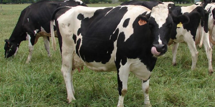 Leve baja de Fonterra (-0,1%)