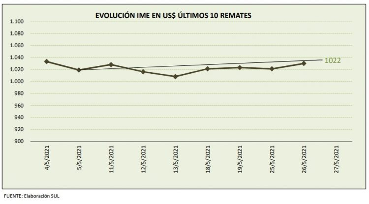Esta semana, con disparidad de los valores por categoría, el precio de la lana se redujo levemente