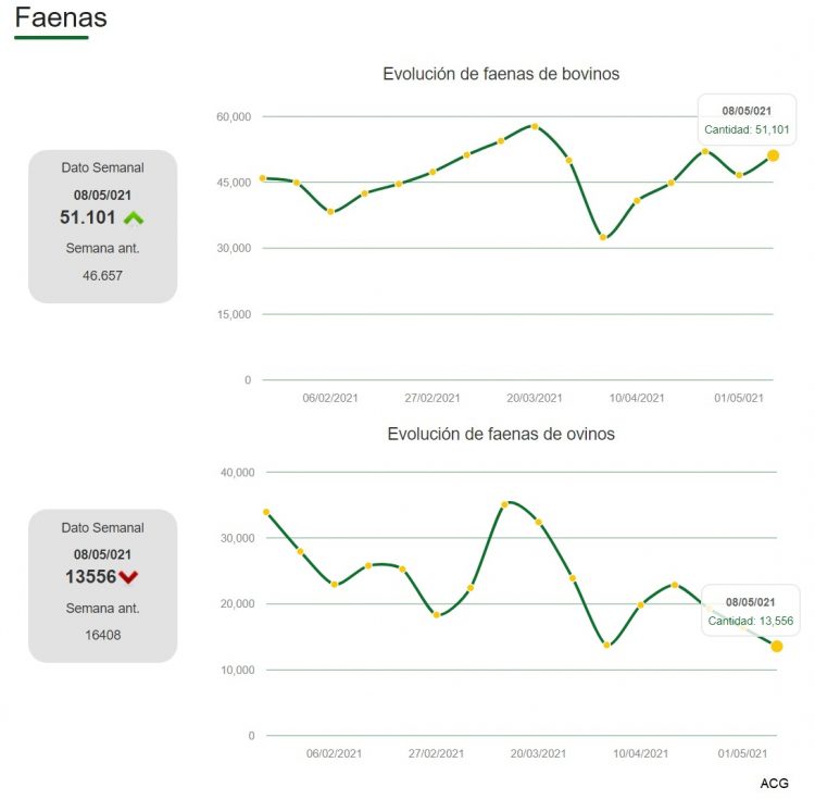 “Continúa la firmeza en demanda y valores”, dijeron los consignatarios de ganado