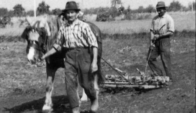 La corrupcion de las elites ensimismadas