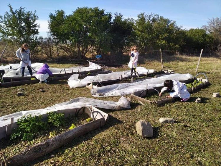 Robert Silva aseguró que el retorno a clases es un proceso “seguro y responsable”