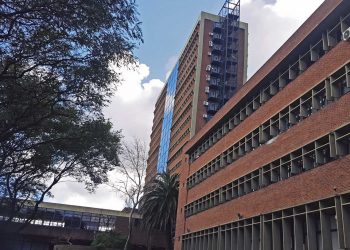 ¿Efecto pandemia?: Más universitarios se vuelcan a carreras científicas