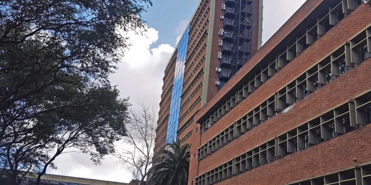 ¿Efecto pandemia?: Más universitarios se vuelcan a carreras científicas