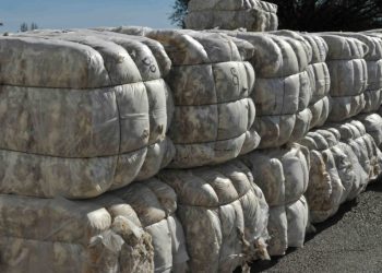 La lana bajó 26 centavos