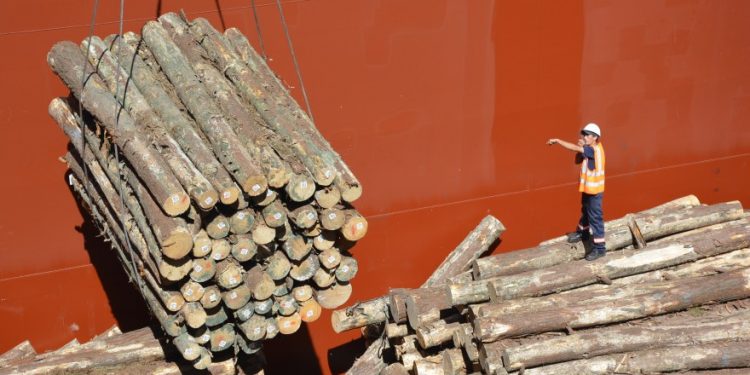 FMI: América Latina necesita diversificarse de las materias primas