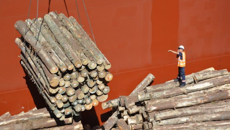 FMI: América Latina necesita diversificarse de las materias primas