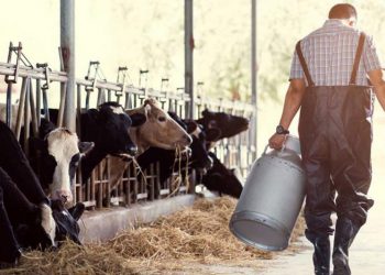 Exportaciones lácteas suben 12% en el primer cuatrimestre