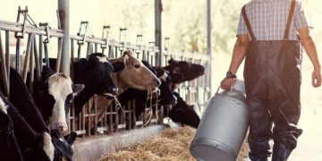 Exportaciones lácteas suben 12% en el primer cuatrimestre