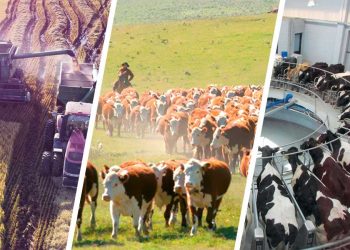 Positivos indicadores agropecuarios al inicio de mayo