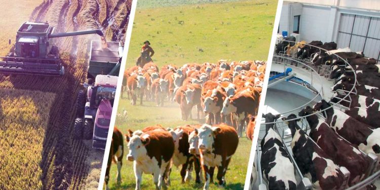 Positivos indicadores agropecuarios al inicio de mayo