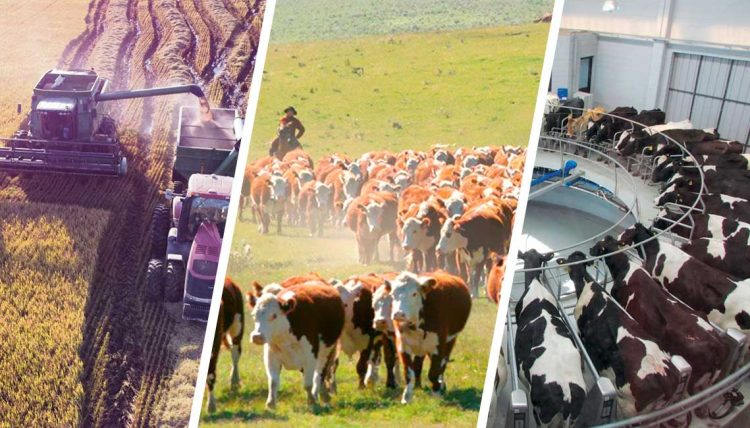 Positivos indicadores agropecuarios al inicio de mayo