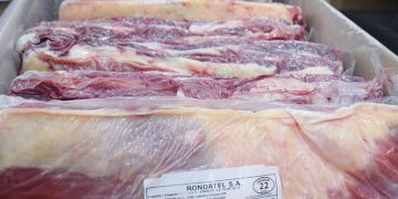 Altos pagos de aranceles deja a Uruguay en desventaja competitiva