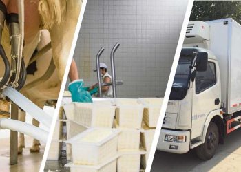 El Estado somos nosotros