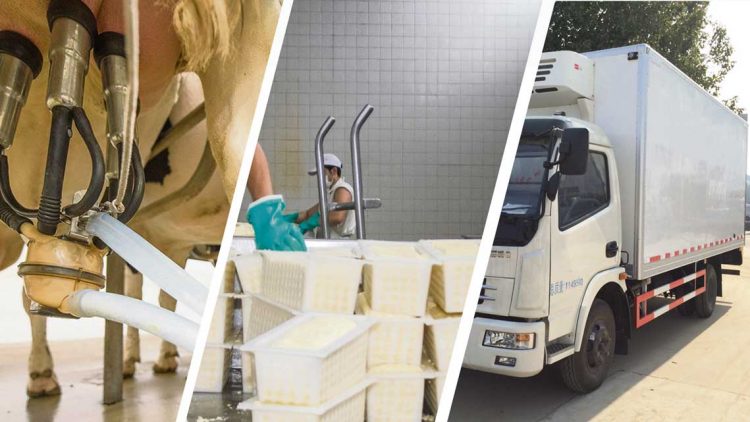 El Estado somos nosotros