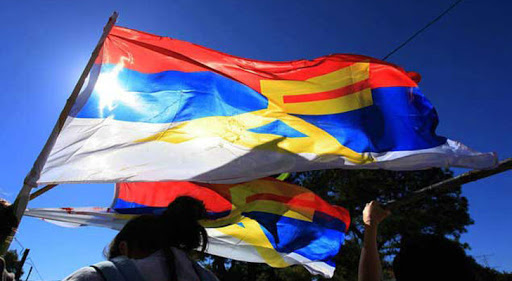 Una oposición salvaje