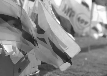 Una oposición salvaje