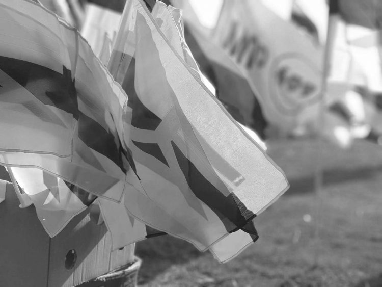 Una oposición salvaje