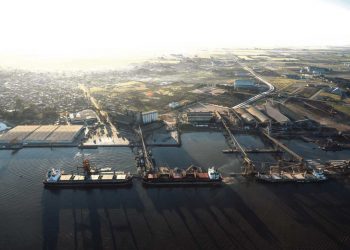 Servicios Agrícolas: el objetivo es “preservar el estatus sanitario”