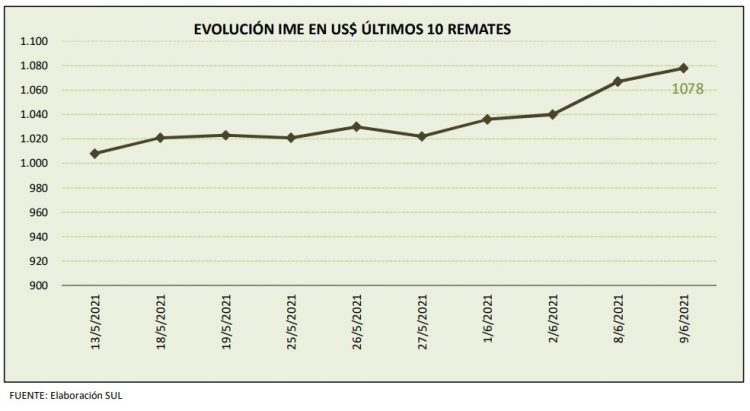 Se afirma la lana y llega a su mayor valor del año