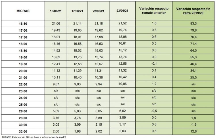 El precio internacional de la lana continúa su camino ascendente