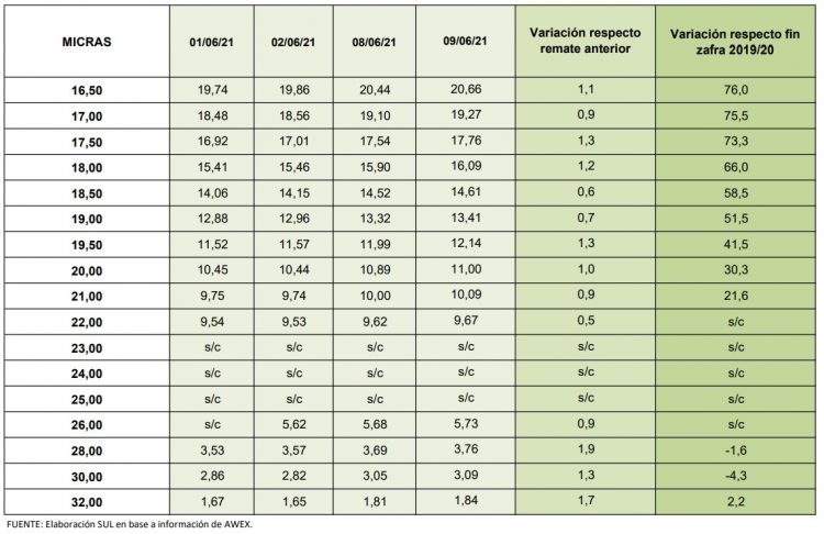 Se afirma la lana y llega a su mayor valor del año