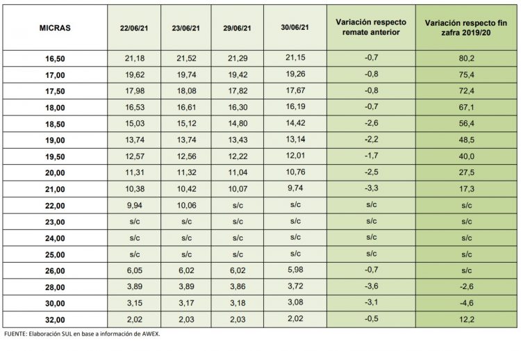 En la última semana de junio, el precio internacional de la lana retrocedió 38 centavos